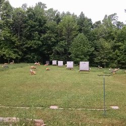 Four Seasons Archery Pro Shop - Outdoor range 20-60 yards plus 3D targets