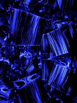 teamLab Borderless: MORI Building DIGITAL ART MUSEUM by null