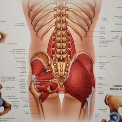 Carlsbad Best Massage