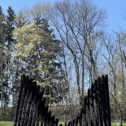 Karl Stirner Arts Trail