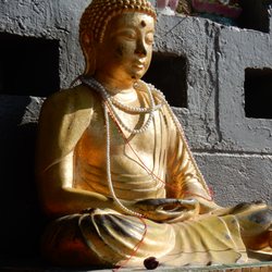 淺水灣
