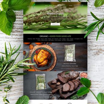 Antsy Ant Web Design - Waialua Growers Website Design - Web Design Near Me - Honolulu, Hawaii