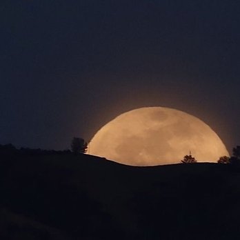 Mt Diablo Summit - Hiking Near Me - Clayton, California