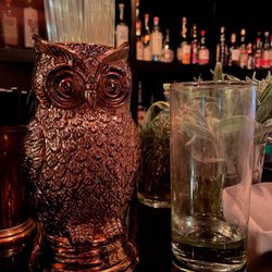 Provisions  - Owl friend