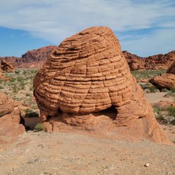 Beehives at Valley of Fire