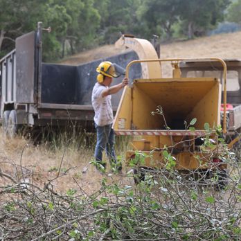 Tree41 - a man in a hard hat and a truck in the background - Tree Services Near Me