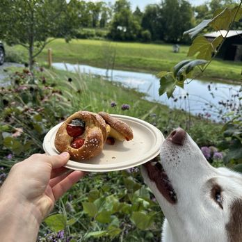 Talking Breads - Bakeries Near Me - Mechanicsburg, Pennsylvania