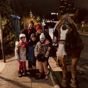 The Hitching Company - We had a nice ride - fun experience for us and our kids! - Tours Near Me - Minneapolis, Minnesota The Hitching Company - We had a nice ride - fun experience for us and our kids! - Tours Near Me - Minneapolis, Minnesota