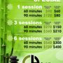 Photo of Chicago Holistic