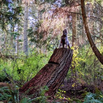 Price Sculpture Forest - Parks Near Me - Coupeville, Washington Price Sculpture Forest - Parks Near Me - Coupeville, Washington