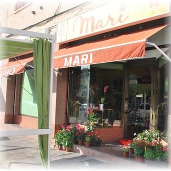 Floristería Mari & tusfloresonline Floristería Mari & tusfloresonline