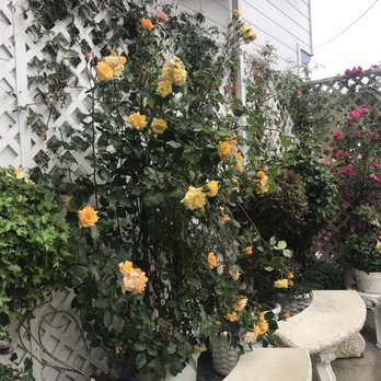 Mill Rose Inn - Outdoor seating - Hotels Near Me - Half Moon Bay, California Mill Rose Inn - Outdoor seating - Hotels Near Me - Half Moon Bay, California
