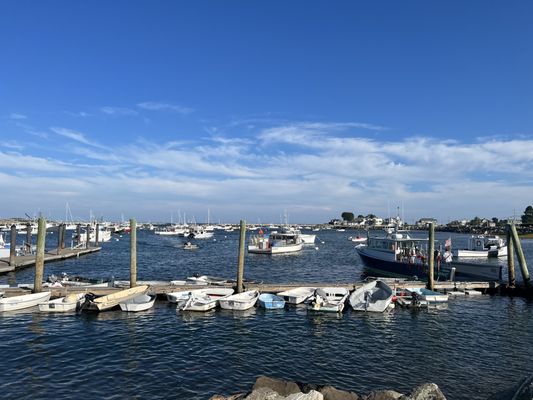 Rye Harbor Lobster Pound by null