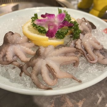 Chengdu Memory - Octopus - Hot Pot Near Me - Seattle, Washington Chengdu Memory - Octopus - Hot Pot Near Me - Seattle, Washington