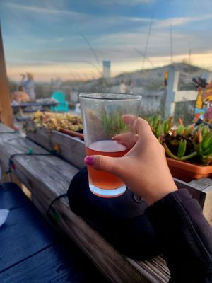 Beachcomber St. Augustine by null