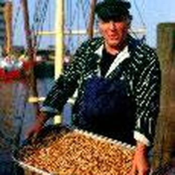 Appartmenthaus Hanseatic - Hotels Near Me - Cuxhaven, NI
