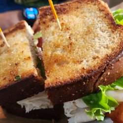 Tropicana Bar & Grill - Turkey sandwich