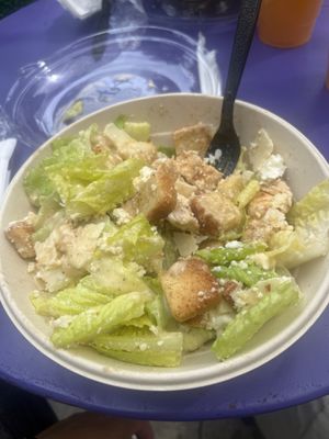 Bamboo Tropical by null