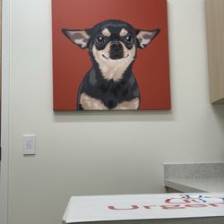 Pro-Tech Repairs Inc. - Dog