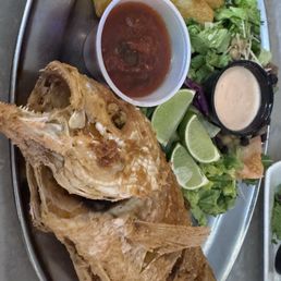 Red Snapper Red Snapper
