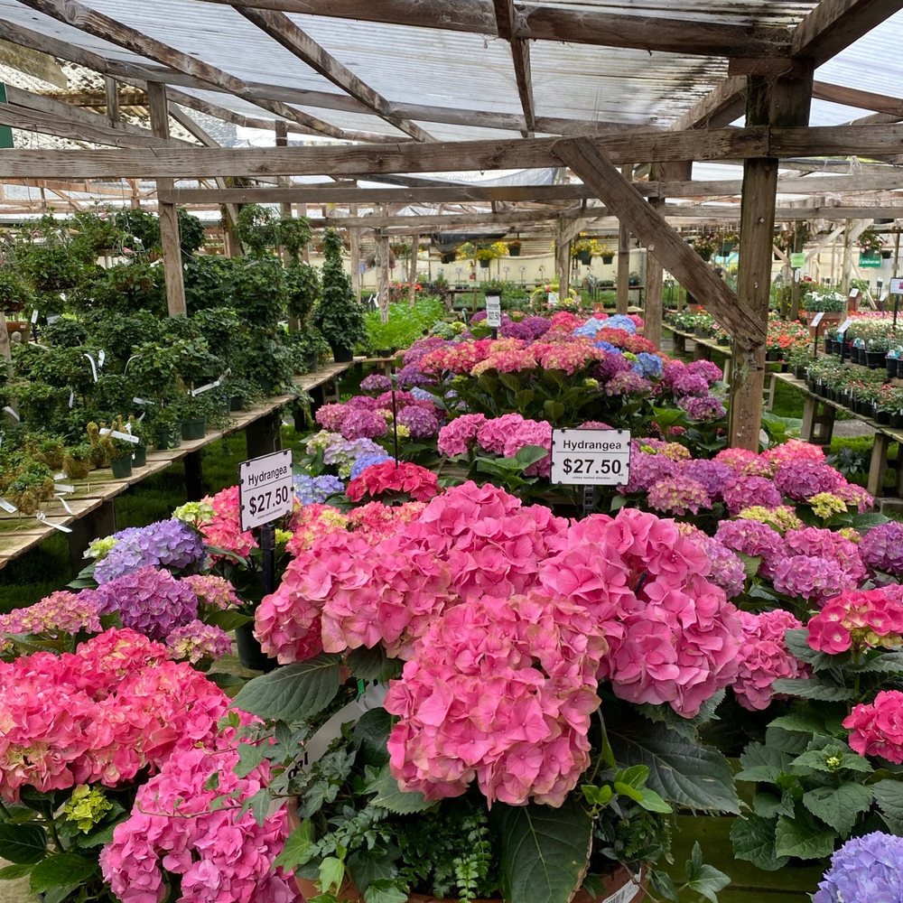 Half Moon Bay Nursery - Nurseries & Gardening Near Me - Half Moon Bay, California
