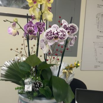 Tropical Florals Hawaii - Florists Near Me - Honolulu, Hawaii Tropical Florals Hawaii - Florists Near Me - Honolulu, Hawaii