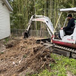 ABL Services - Removal of Bamboo Root System for a Customer