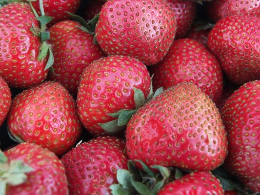 McCutcheon/Mount Vernon Farmers Market by null