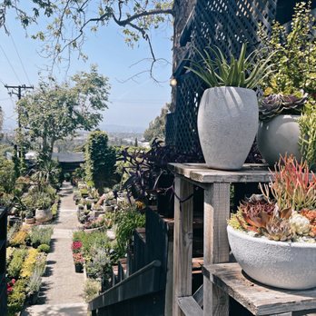 Rolling Greens - Nurseries & Gardening Near Me - Culver City, California Rolling Greens - Nurseries & Gardening Near Me - Culver City, California