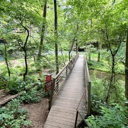 Boardwalk path leading to the base of Ozark Springs waterfall. Boardwalk path leading to the base of Ozark Springs waterfall.