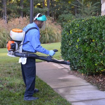 Active Pest Control - Pest Control Near Me - Roswell, Georgia