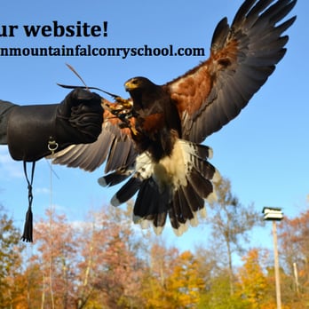 Green Mountain Falconry School - Specialty Schools Near Me - Bennington, Vermont