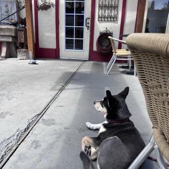 Old Country Inn - Dog friendly patio with water bowls and leash hooks - American Near Me - Big Bear Lake, California Old Country Inn - Dog friendly patio with water bowls and leash hooks - American Near Me - Big Bear Lake, California