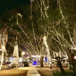 Plaza de La Constitucion - Plaza de la Constitucion -- Christmas lights