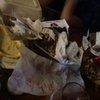 Taco Mac gift card