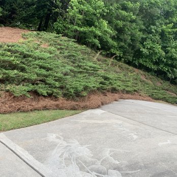 Dj’s Landscaping & Installations - Side bed Cyprus bushes trimmed with new pine straw installed. - Landscape Architects or Designers Near Me Dj’s Landscaping & Installations - Side bed Cyprus bushes trimmed with new pine straw installed. - Landscape Architects or Designers Near Me