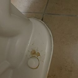 Comfort Suites Sulphur-Lake Charles - Dirty toilet