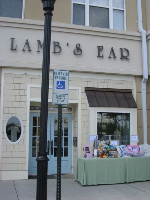 LAMB’S EAR Updated October 2024 4209 Lassiter Mill Rd, Raleigh