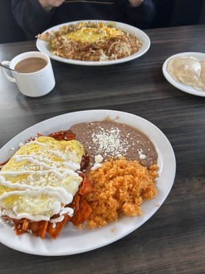 Jerry's cafe by null