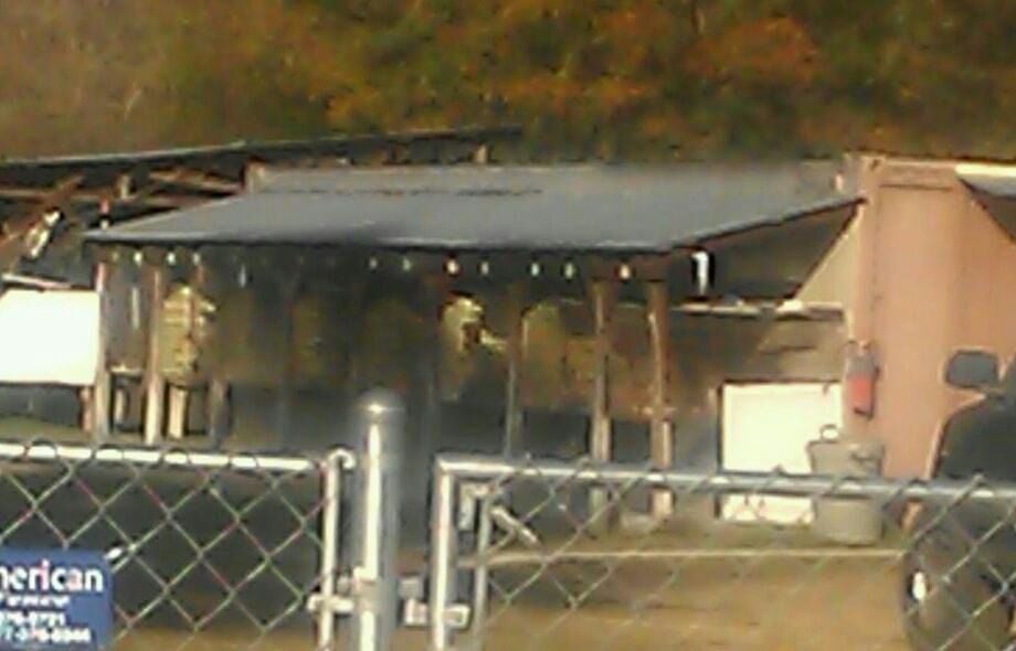 RYE PATCH KENNELS Updated September 2024 Rye Patch Rd, Hinesville