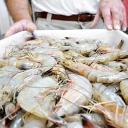 Harlon's La Fish