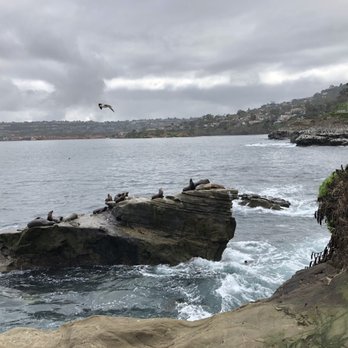 La Jolla Cove - The view on the rocky area - Parks Near Me - La Jolla, California La Jolla Cove - The view on the rocky area - Parks Near Me - La Jolla, California
