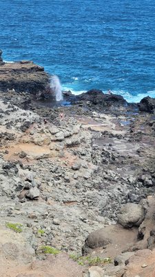 Nakalele Blowhole by null