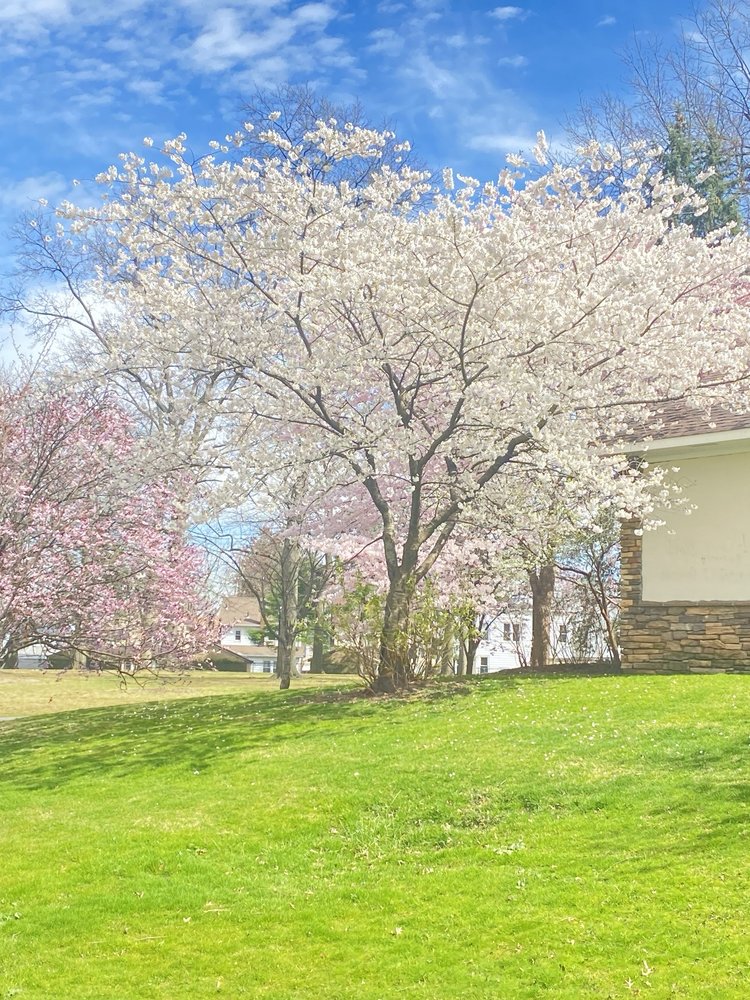 Ivy Hill Park
