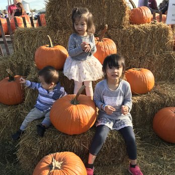 Blake's Orchard & Cider Mill - Fruits & Veggies Near Me - Armada, Michigan