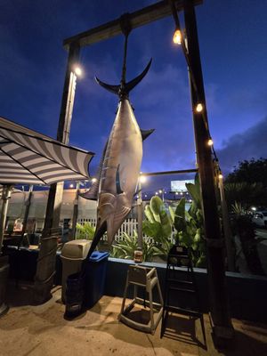 Pacific Beach Fish Shop by null