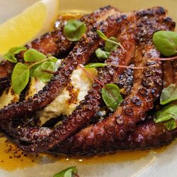 The Rocks - Grilled Octopus