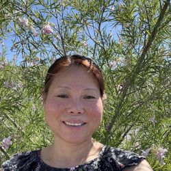 I was at bus stop, beautiful tree has flowers behind me,
