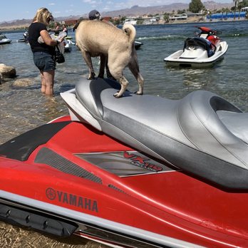 Harrah's Laughlin - A Caesars Rewards Destination - Jet ski life - Hotels Near Me - Laughlin, Nevada