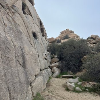Joshua Tree National Park - Rocks - Parks Near Me - Joshua Tree, California Joshua Tree National Park - Rocks - Parks Near Me - Joshua Tree, California